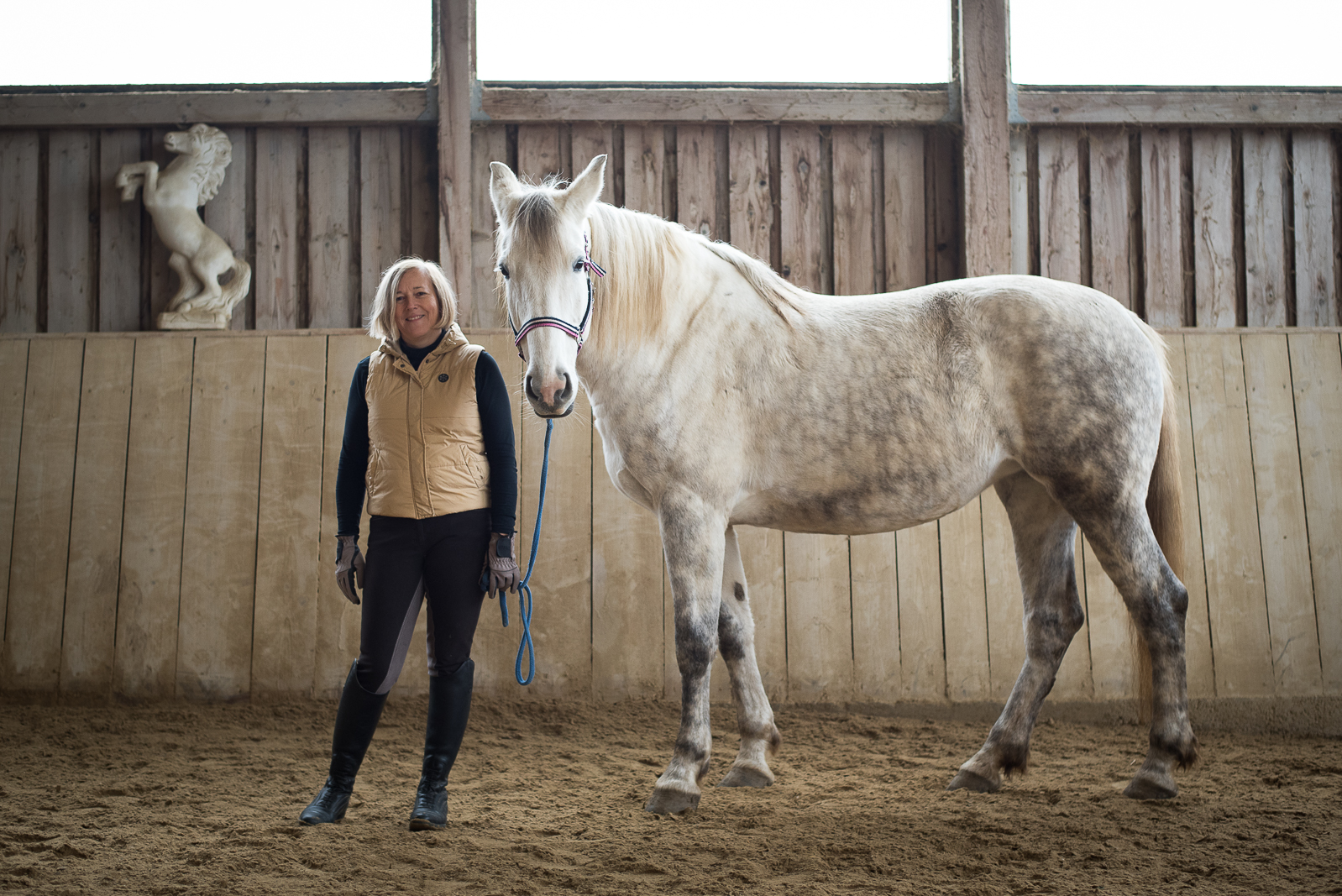 reiten-lernen-oder-reiten-üben-österreich