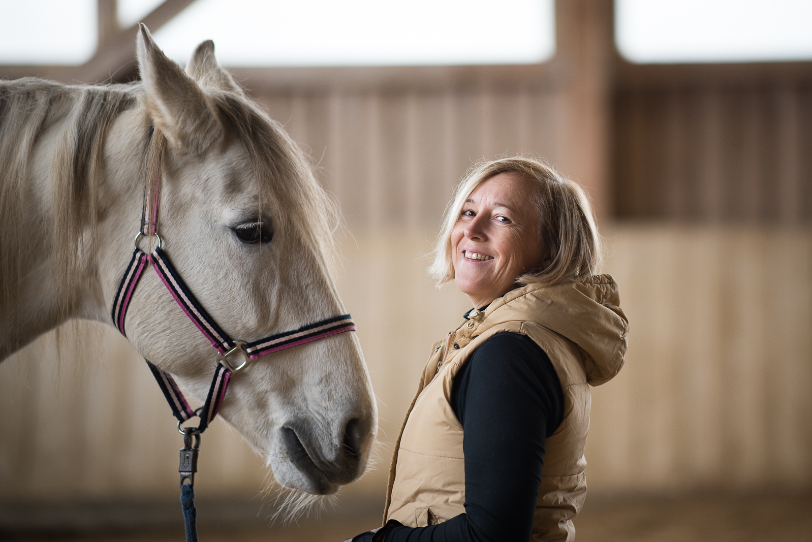 reiten-lernen-oder-reiten-üben-österreich